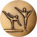 Francia, medalla, Fédération française de Gymnastique, Bronce, EBC