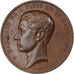 France, Medal, Napoléon Né à Paris le 16 Mars 1856, 1874, Bronze, Merley