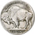 United States, 5 Cents, Buffalo Nickel, 1914-1917, U.S. Mint, Copper-nickel