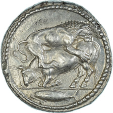 Macedonia, Tetradrachm, ca. 470-430 BC, Akanthos, Plata, NGC, Ch AU 4/5-4/5