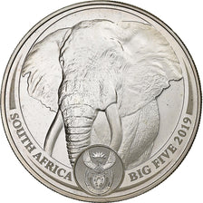 South Africa, 5 Rand, ELEPHANT, 2019, South Africa Mint, 1 Oz, Silver, MS(65-70)