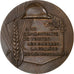 Frankrijk, Medaille, 60ème Anniversaire de l'Armistice, 1978, Bronzen