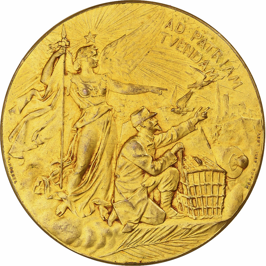 France Medal Ministère de la Guerre Communications aériennes Gilt ...