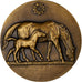 France, Medal, Chevaux, Elevage Reproduction, Bronze, Bouchard, MS(64)