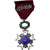 Belgia, Ordre de la Couronne, Léopold II, medal, Palme, Doskonała jakość
