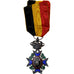 Belgia, Mutualité, medal, Doskonała jakość, Brąz posrebrzany, 54 X 33