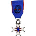 France, Croix de Djebel, Anciens Combattants d'Afrique du Nord, Medal, Officier