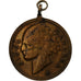 Stany Zjednoczone Ameryki, medal, Siuol Maharba, Tête d'Indien, Miedź