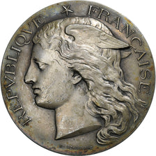 Francia, medaglia, Concours Régional Hippique de Limoges, 1886, Argento