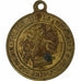 Francja, medal, Napoléon III, Satirique, Bataille de Sedan, 1870, Brązowy