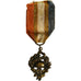 Francja, Union Nationale des Combattants, medal, Bardzo dobra jakość