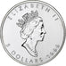 Canadá, Elizabeth II, 5 Dollars, 1999, Royal Canadian Mint, Prata, MS(65-70)