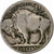 United States, 5 Cents, Buffalo Nickel, 1920, Philadelphia, Copper-nickel