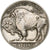 Stati Uniti, 5 Cents, Buffalo Nickel, 1913, U.S. Mint, Rame-nichel, BB, KM:134