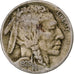 United States, 5 Cents, Buffalo Nickel, 1925, Philadelphia, Copper-nickel