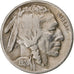 United States, 5 Cents, Buffalo Nickel, 1924, U.S. Mint, Copper-nickel