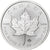 Canada, Elizabeth II, 5 dollars, 1 oz, Maple Leaf, 2022, Ottawa, Zilver, UNC