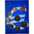 Pays-Bas, Set 1 ct. - 2 Euro, euro set, 2001, SPL