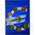 Portugal, Set 1 ct. - 2 Euro, euro set, 2004, SPL