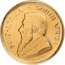 Afrique du Sud, 1/4 Krugerrand, 1984, Pretoria, Or, SPL, KM:106