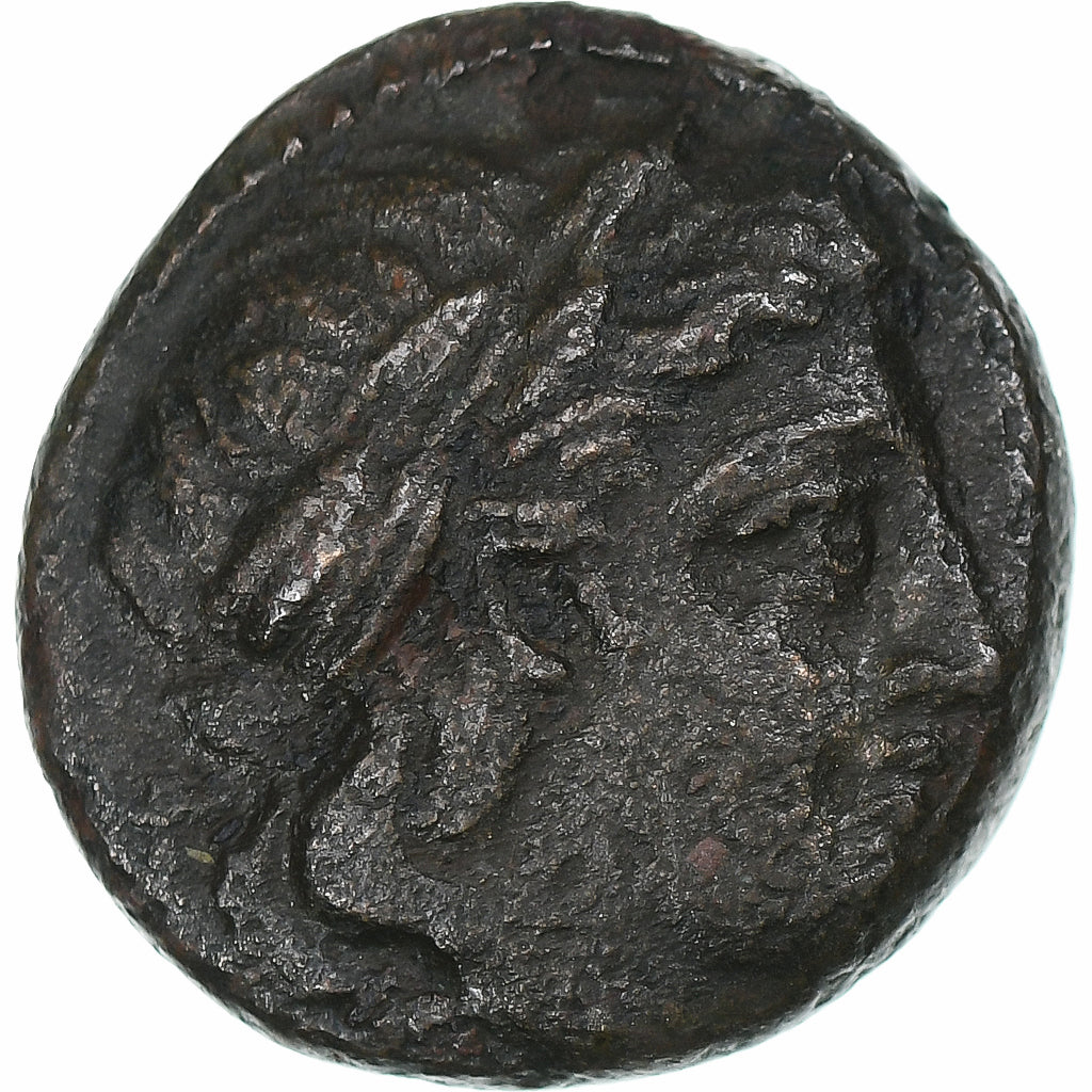 Kingdom of Macedonia Cassander Æ 306-297 BC Bronze SS – Numiscorner.com