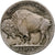 États-Unis, 5 Cents, Buffalo, 1916, Denver, Nickel, TTB, KM:134