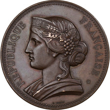 France, Médaille, Exposition industrielle de Clermont-Ferrand, 1880, Bronze