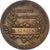 France, Medal, Comité de vaccine, 1899, Bronze, Dubois, AU(50-53)