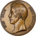 Francja, medal, Sacre de Charles X, l’Onction, Vendée, 1829, Brązowy