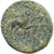 Seleucis and Pieria, Auguste, Æ Unit, 13-14, Antioch, Bronze, SS, RPC:4269