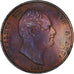 Reino Unido, William IV, Penny, 1837, London, Cobre, MBC+, Spink:3845, KM:707