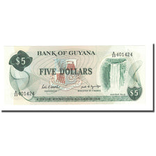 Geldschein, Guyana, 5 Dollars, Undated (1989), KM:22e, UNZ