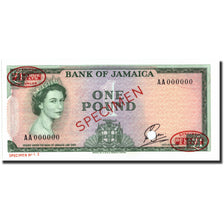 Jamaica, 1 Pound, 1961, Specimen, UNC 64, PMG