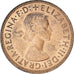 Coin, Great Britain, Elizabeth II, 1/2 Penny, 1955, AU(55-58), Bronze, KM:896