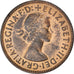 Coin, Great Britain, Elizabeth II, 1/2 Penny, 1955, AU(50-53), Bronze, KM:896