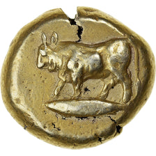 Mysië, Stater, 500-450 BC, Cyzicus, Electrum, NGC, FR+, SNG-France:222-3