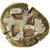 Moneta, Myzja, Stater, 500-450 BC, Kyzikos, Rzadkie, AU(50-53), Elektrum