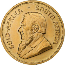 South Africa, Krugerrand, 1981, Gold, MS(63), KM:73