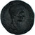 Münze, Moesia Inferior, Diadumenian, Æ, 217-218, Nicopolis ad Istrum, SS