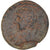 Monnaie, Séleucie et Piérie, Pseudo-autonomous, Æ, 3ème siècle AD