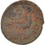 Monnaie, Séleucie et Piérie, Pseudo-autonomous, Æ, 3ème siècle AD