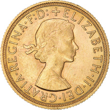 Moeda, Grã-Bretanha, Elizabeth II, Sovereign, 1958, AU(55-58), Dourado, KM:908