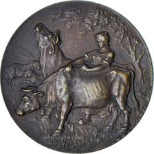 França, medalha, Comice Agricole de Bernay, Agriculture, Erdmann, AU(55-58)
