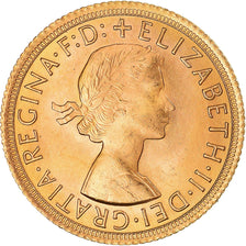 Monnaie, Grande-Bretagne, Elizabeth II, Sovereign, 1965, SPL, Or, KM:908