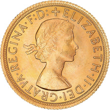 Moneta, Wielka Brytania, Elizabeth II, Sovereign, 1966, MS(63), Złoto, KM:908