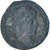 Moneta, Constantine I, Follis, 307/310-337, Constantinople, EF(40-45), Brązowy