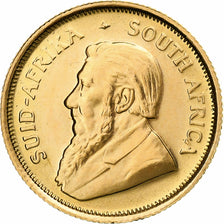 Południowa Afryka, 1/10 Krugerrand, 1981, MS(63), Złoto, KM:105