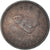 Coin, Great Britain, Farthing, 1954