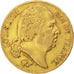 Francia, Louis XVIII, Louis XVIII, 20 Francs, 1824, Paris, BB, Oro, KM:712.1,...