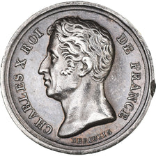 França, Medal, Charles X, Avènement au Trône, História, 1824, Depaulis